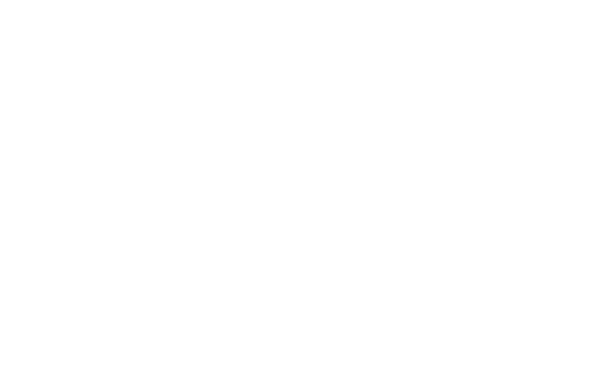 The Order